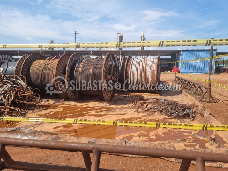 WhatsApp Image 2025-11-07 at 12.54.05 PM.jpg